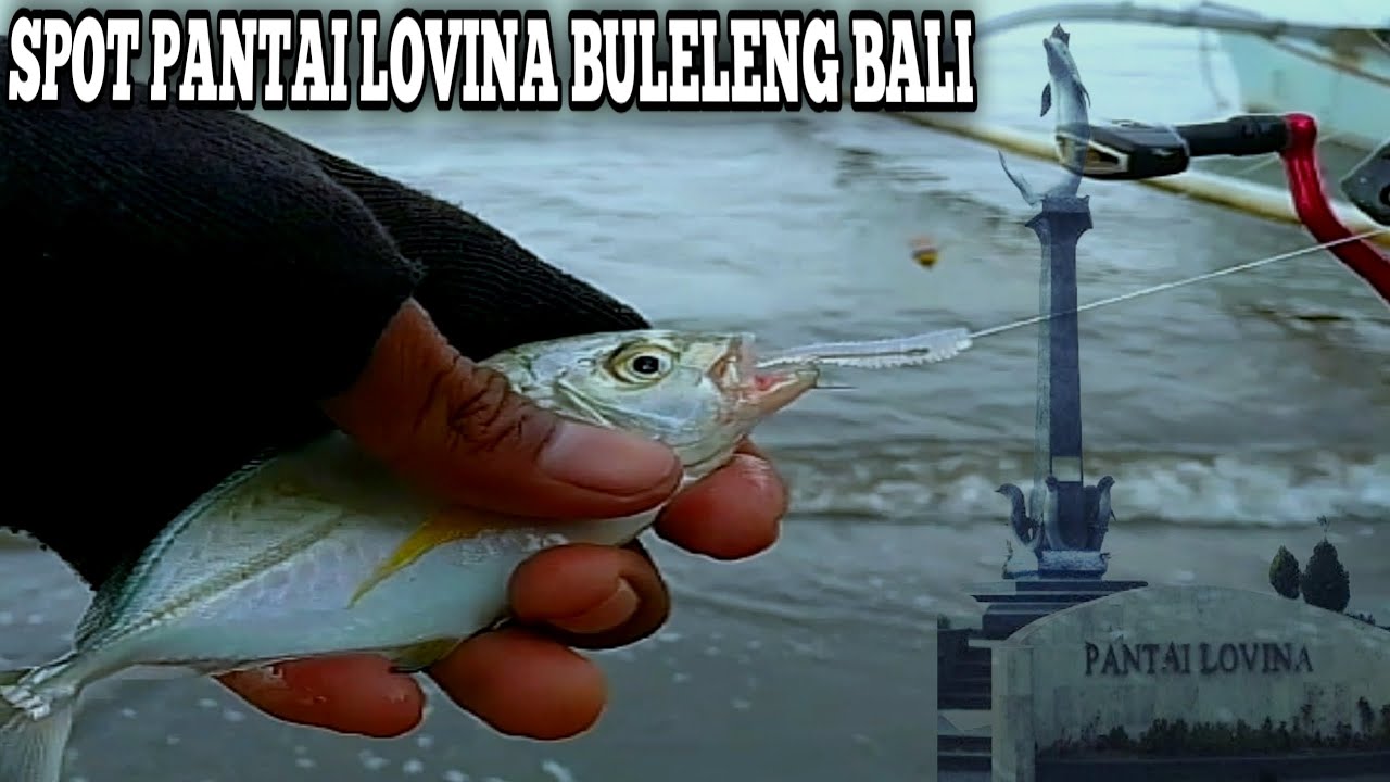 spot mancing di buleleng bali // baby GT sama kerung terselamatkan!!