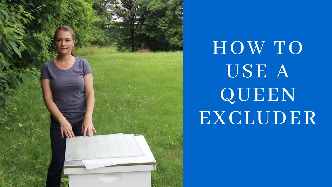 How To Use A Queen Excluder