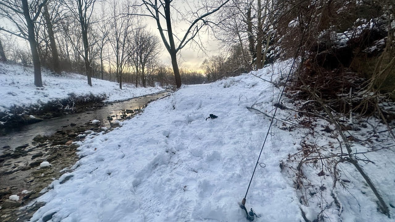 Can I Catch a Fish During an Extreme Cold Snap?
