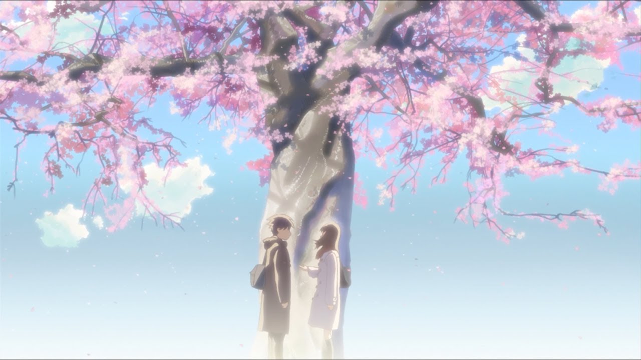 Mr.Kitty - In Your Arms (5 Centimeters per Second) - AMV