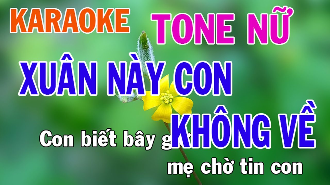 Xuân Này Con Không Về Karaoke Tone Nữ Nhạc Sống - Phối Mới Dễ Hát - Nhật Nguyễn