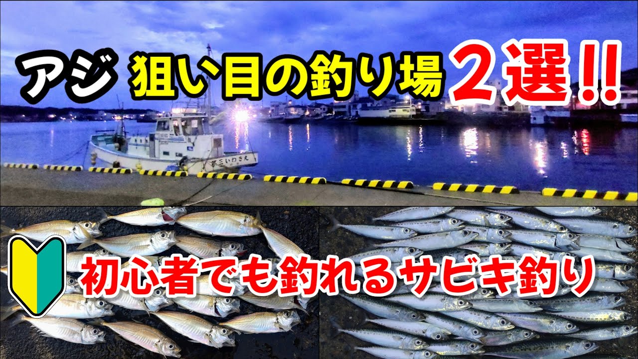 【サビキ釣り】狙い目の釣り場２選!!陸っぱりアジ釣り。座ってアジが爆釣した釣り方、仕掛け、道具も紹介します‼