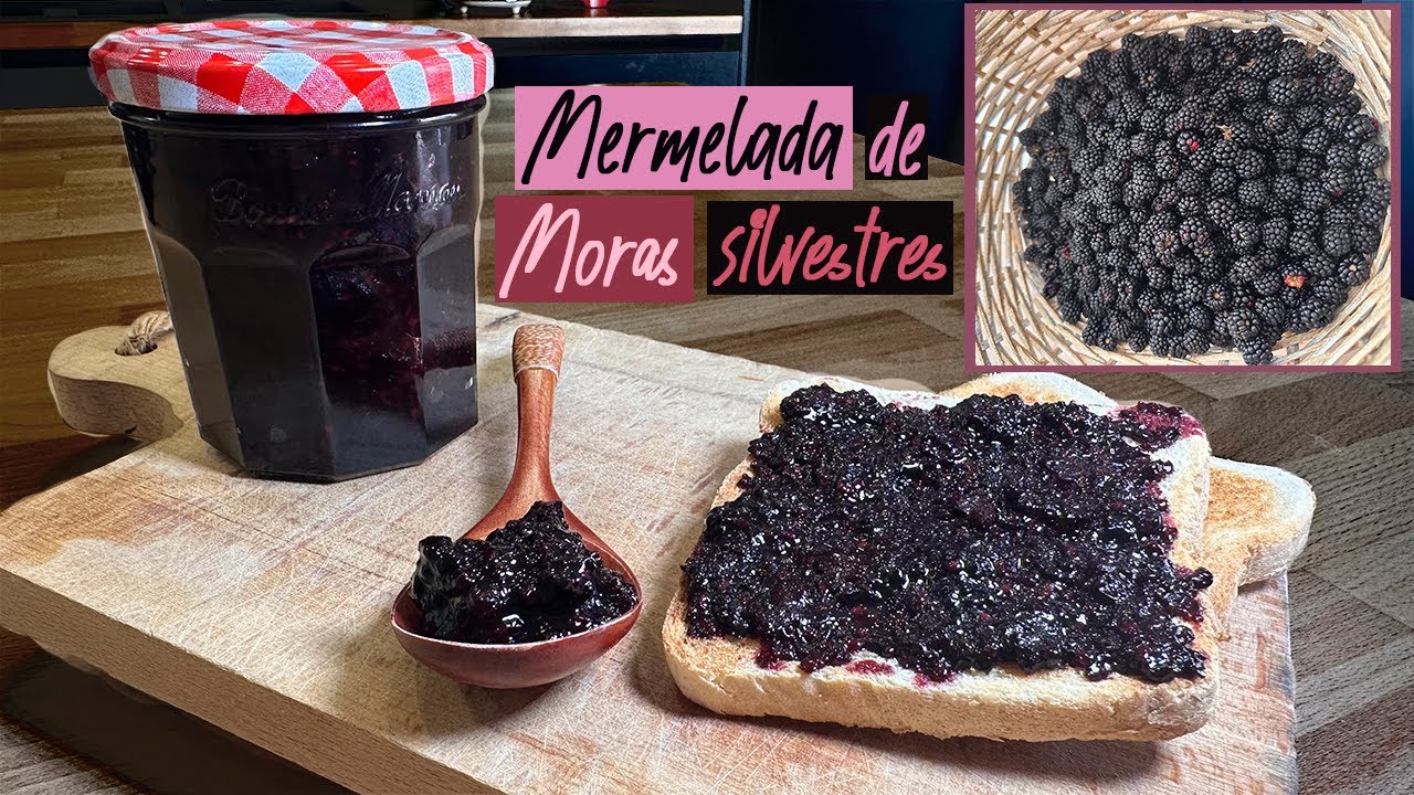 MERMELADA DE MORAS SILVESTRES CASERA‼️Receta Fácil y Deliciosa 😋 | Blackberryjam