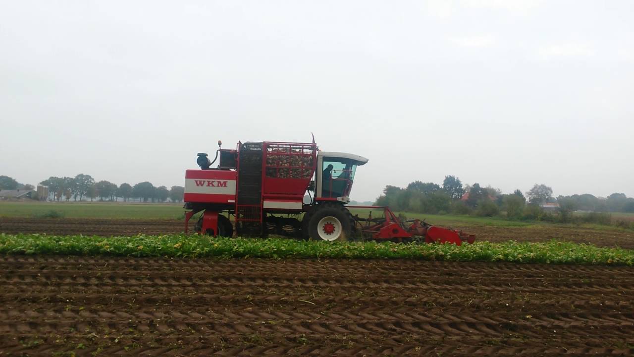 Loonbedrijf Almen Harfsen aan het bieten rooien.