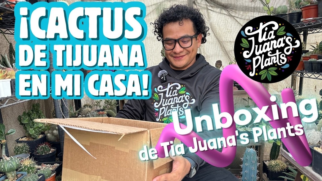 ¡Un regalo increíble! Unboxing de cactus de Tia Juana’s Plants 🌵