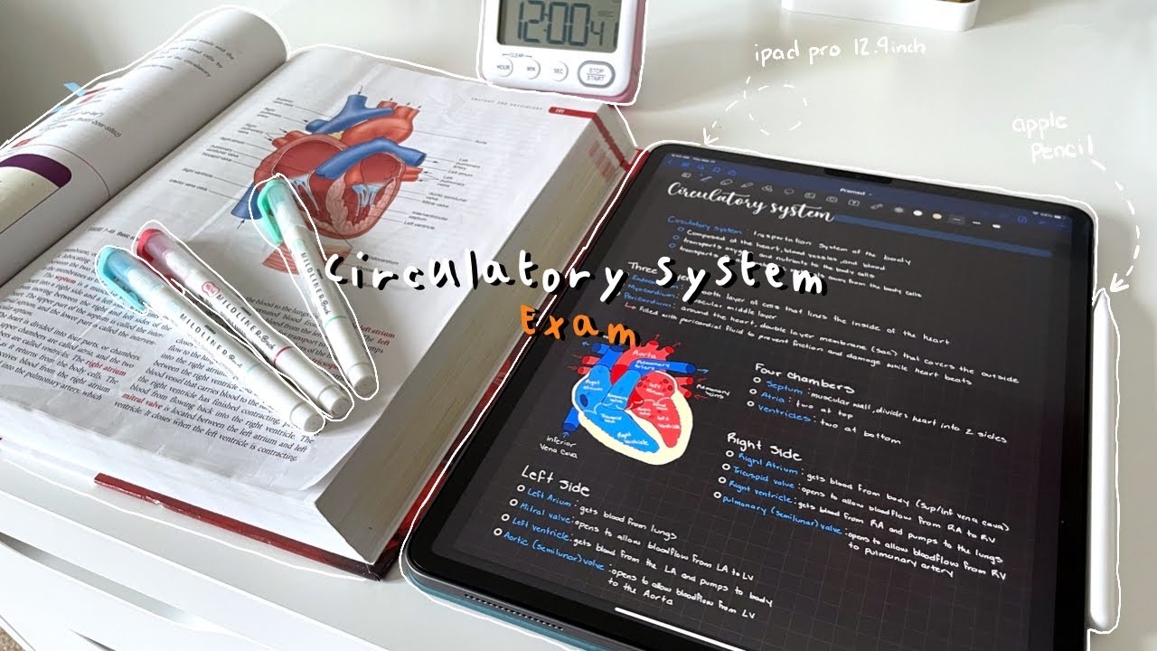 study with me✏️| med student, circulatory system notes, goodnotes5, ipad pro 12.9inch, paperlike