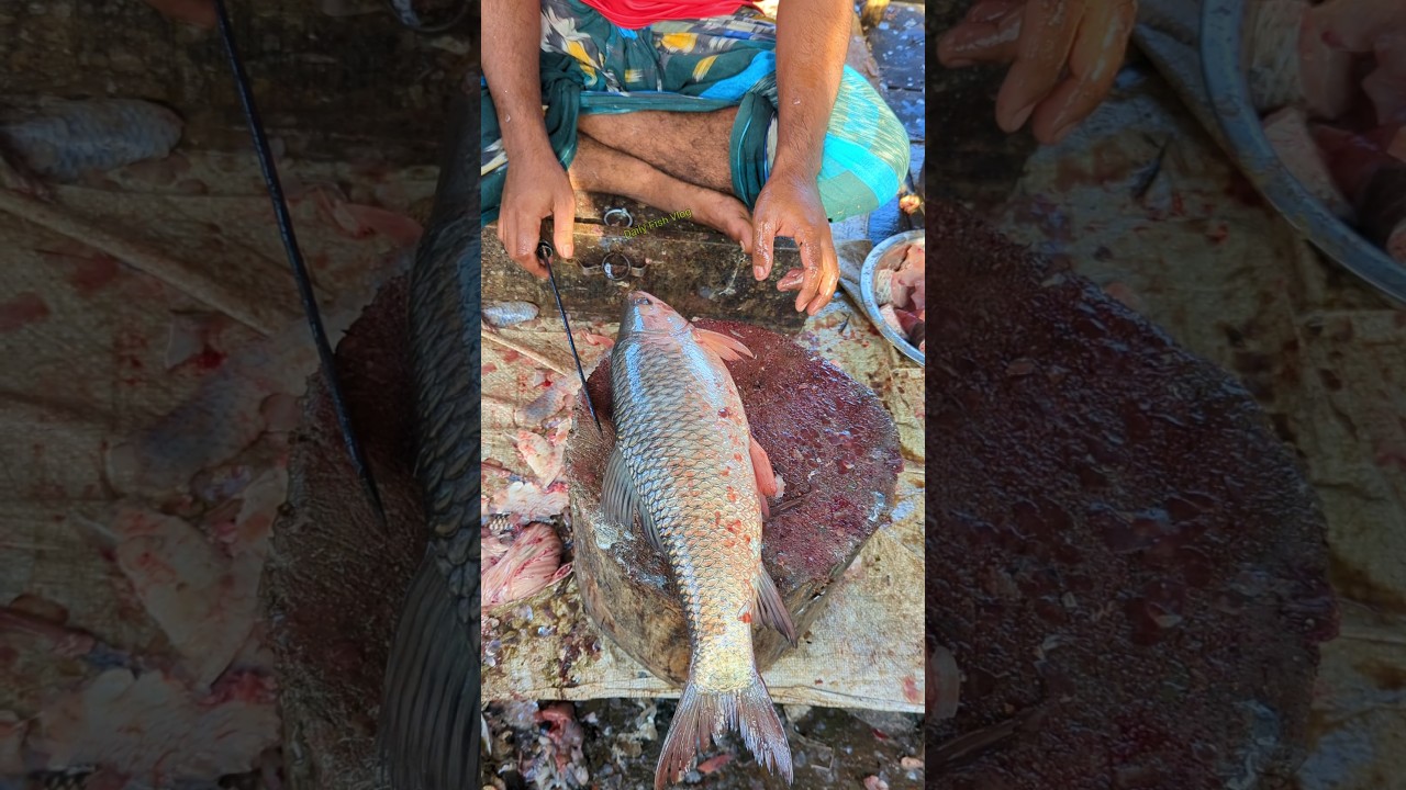 Most Expensive & Popular Giant Rohu Fish Cutting Live Fish Market 🤭 (Episode:-328) #shorts