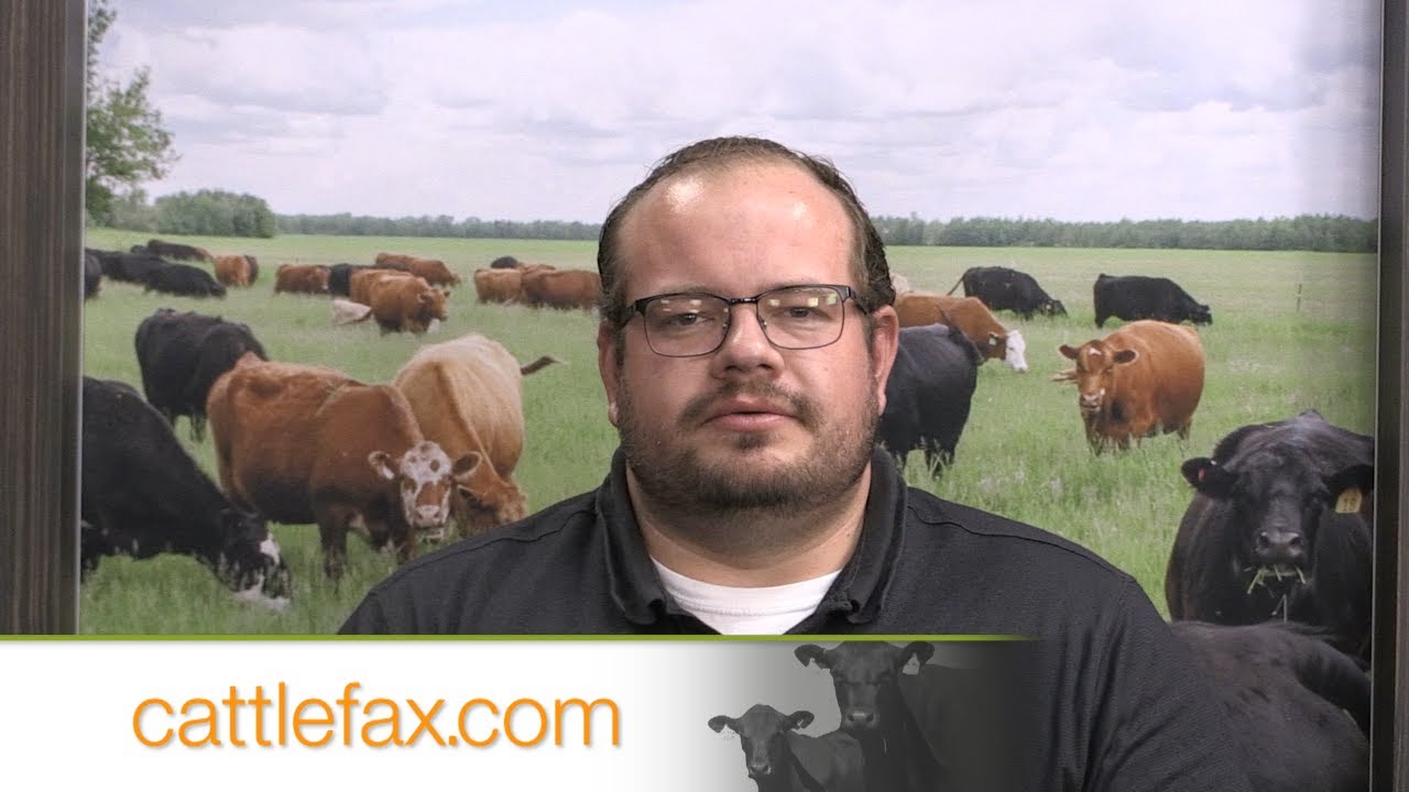 Closing Bell: Carcass Weights Remain Elevated
