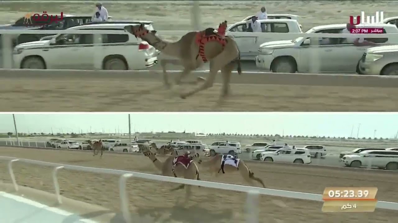 ش9 نيران لـ حمد علي محمد الغفراني المري (المحلي الخامس 2-11-2023م) حقايق بكار مفتوح 6:02:91