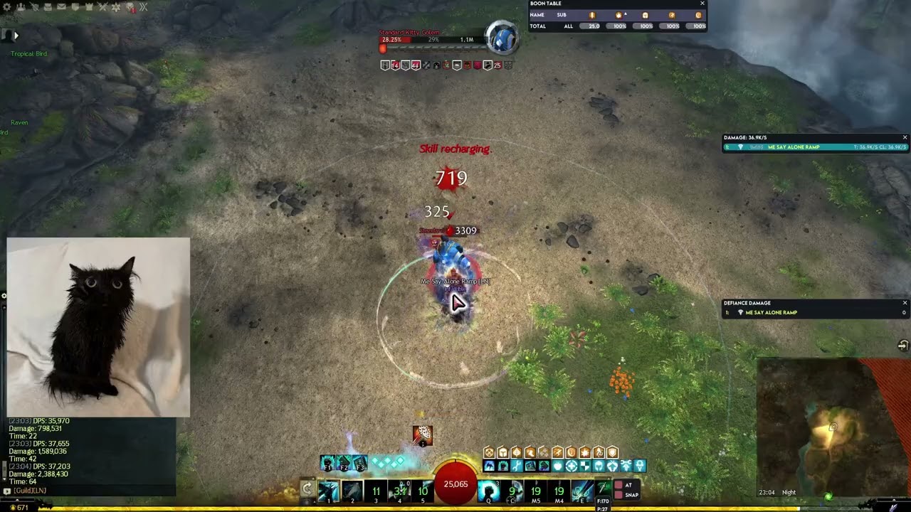 GW2 - Condi Quick Firebrand 37,734 Solo dps