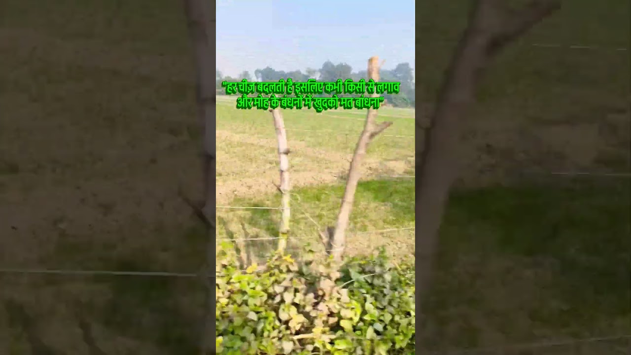 Ayagi gi Har pal tujhe meri yaad 