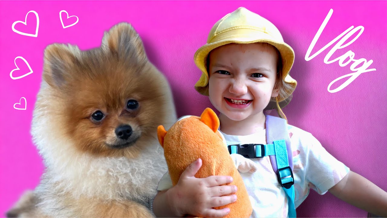 VLOG: VEEDA PÄEV MEIEGA +  KES ON MAX?!🐕🐾