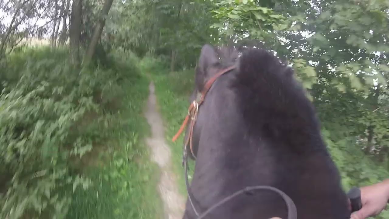 Teichrundritt aus einer anderen Perspektive