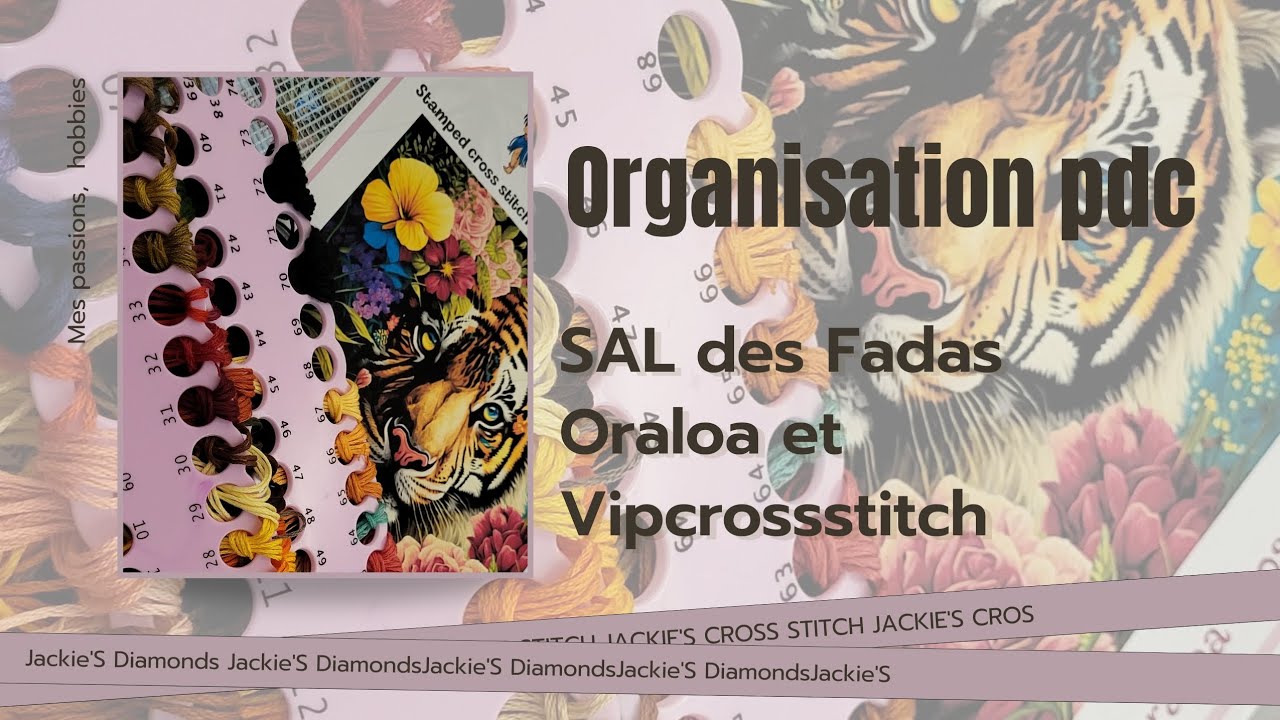 Organisation de point de croix #vipcrossstitch #Oraloa #lesfadasdudp #saldesfadas