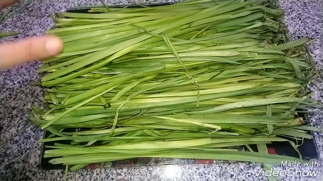 تفريز الكرات 🍀 ☘️ 🌿