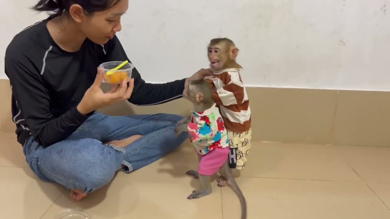 Mnkey Jasmine xtreamaly anqrri mom puzh her to stay at the wall 