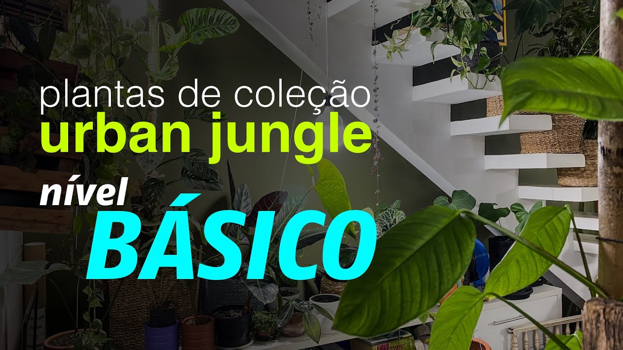 Plantas de Coleção Urban Jungle | Nível Básico | Jardineiros Urbanos por Flay