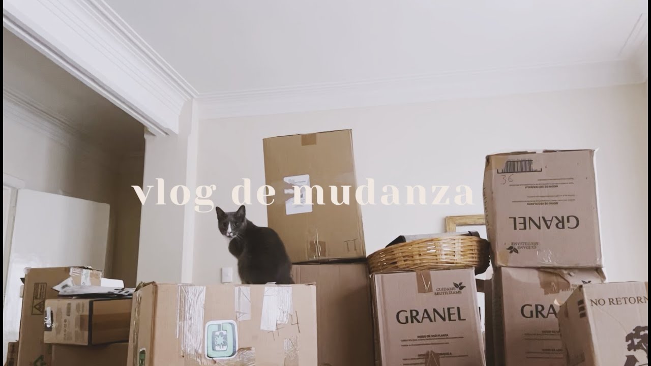 VLOG de mudanza POR FIN 📦