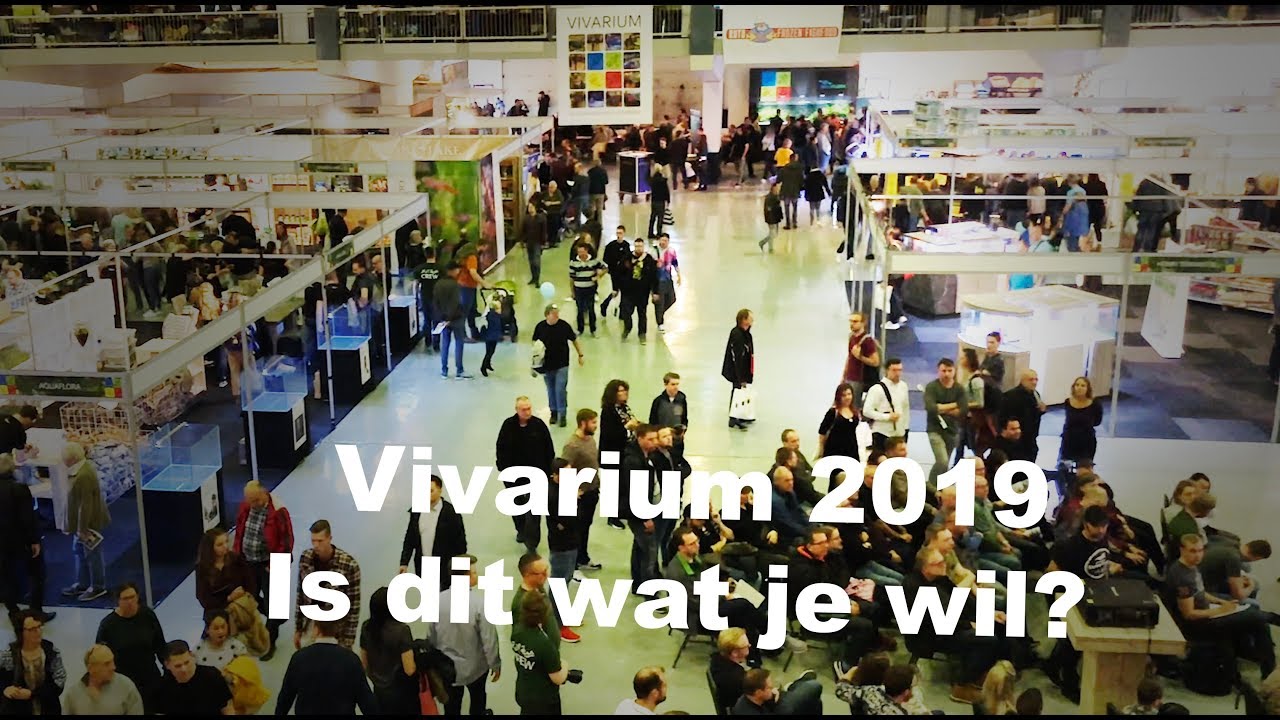 Vivarium 2019! De complete tour in tien min. Een aquarium beurs voor de aquarium fan