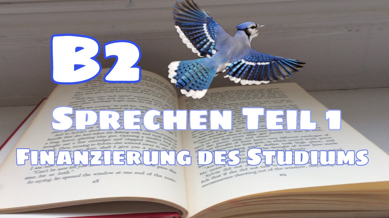 🖤❤💛B2 (Sprechen Teil 1): Vortrag zum Thema 