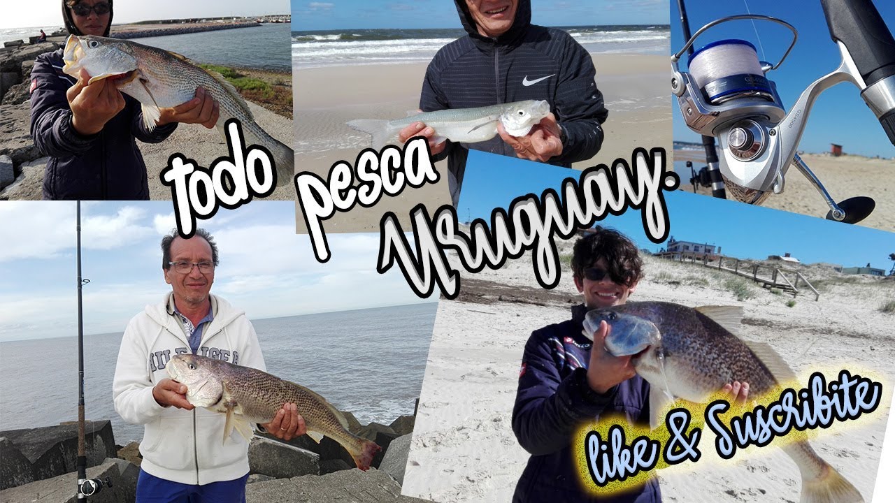 Pesca de Pejerreyes en -