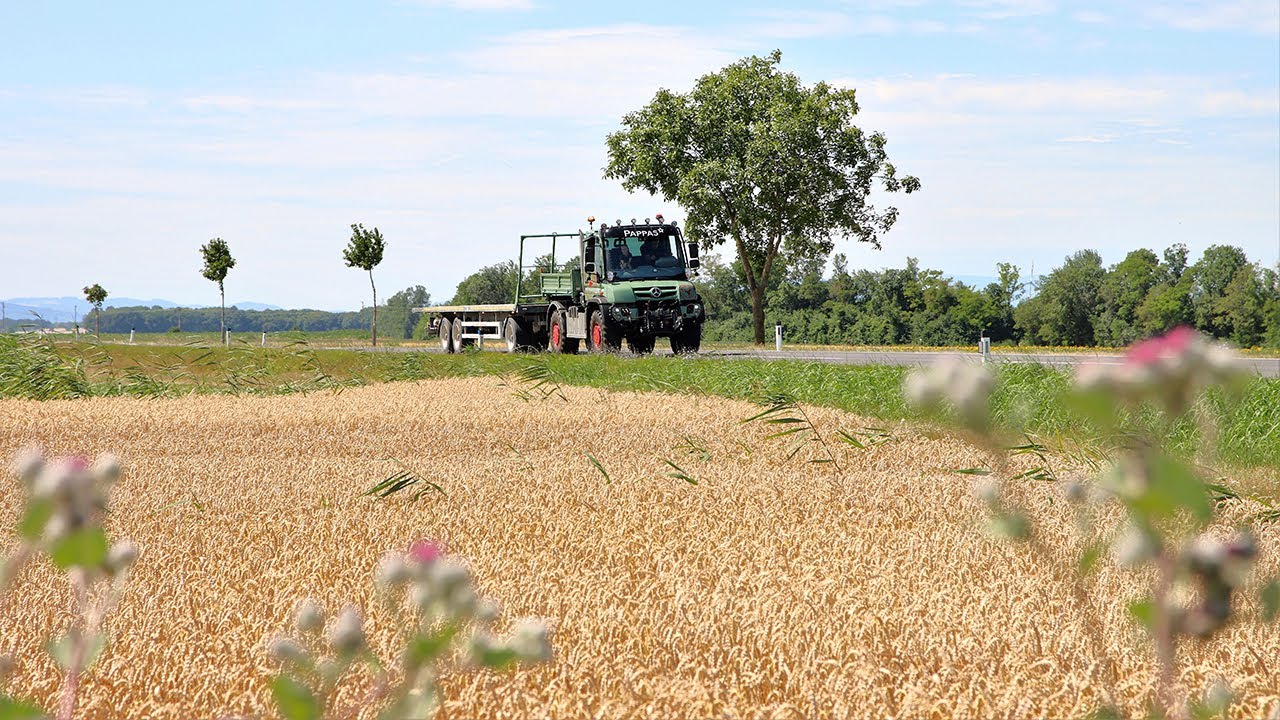 Der Unimog in der Agrarlogistik: schnell und effizient