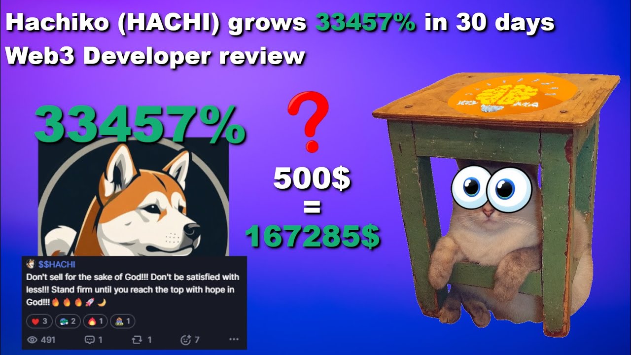Hachiko (HACHI) Crypto Gem or Just Hype? (Web3 Developer review)