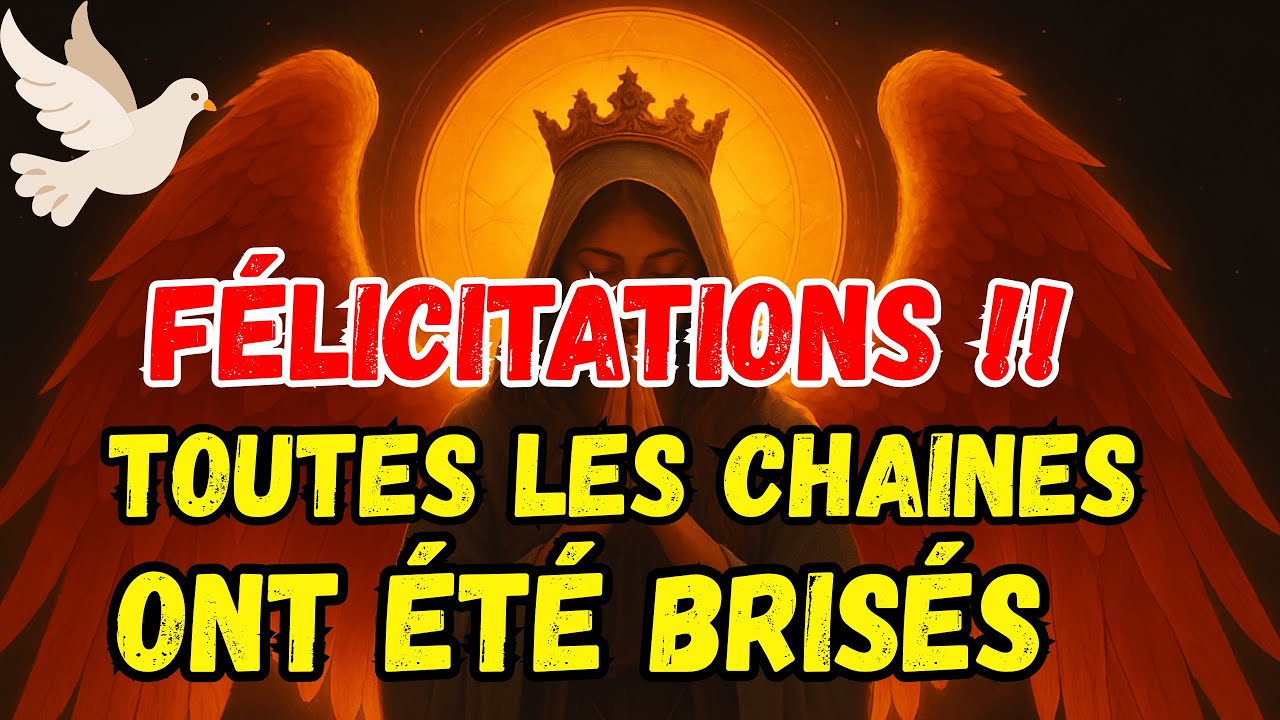 ÉLUS ! FÉLICITATIONS, C'EST FAIT ! VOUS N'AUREZ PLUS JAMAIS À VIVRE ÇA !