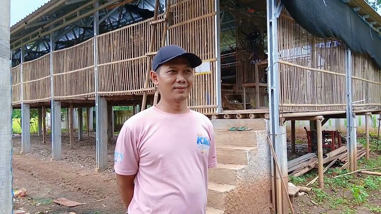 Tugas PKWU Observasi Budidaya Peternakan