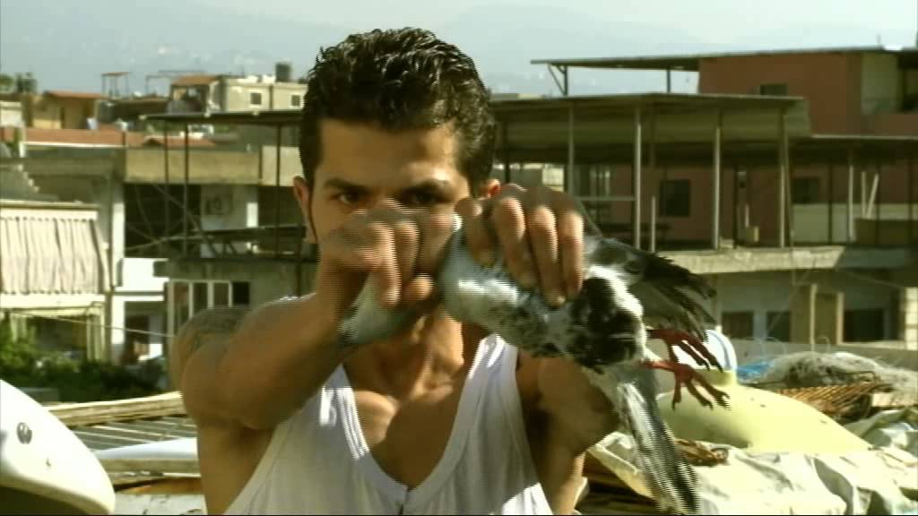 شي أن أن - يوميات عباس جعفر