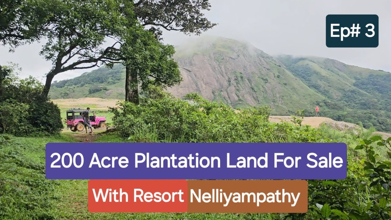 200  Acre Plantation Land For Sale Ep# 3 With Resort Nelliyampathy 9388890009