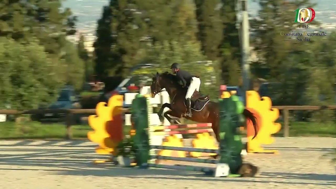 A3* CONCORSO DI VISIONE FEDERALE Test Event Giovanile e Pony - SICILIA - New Eagle's Club - 8/02/26