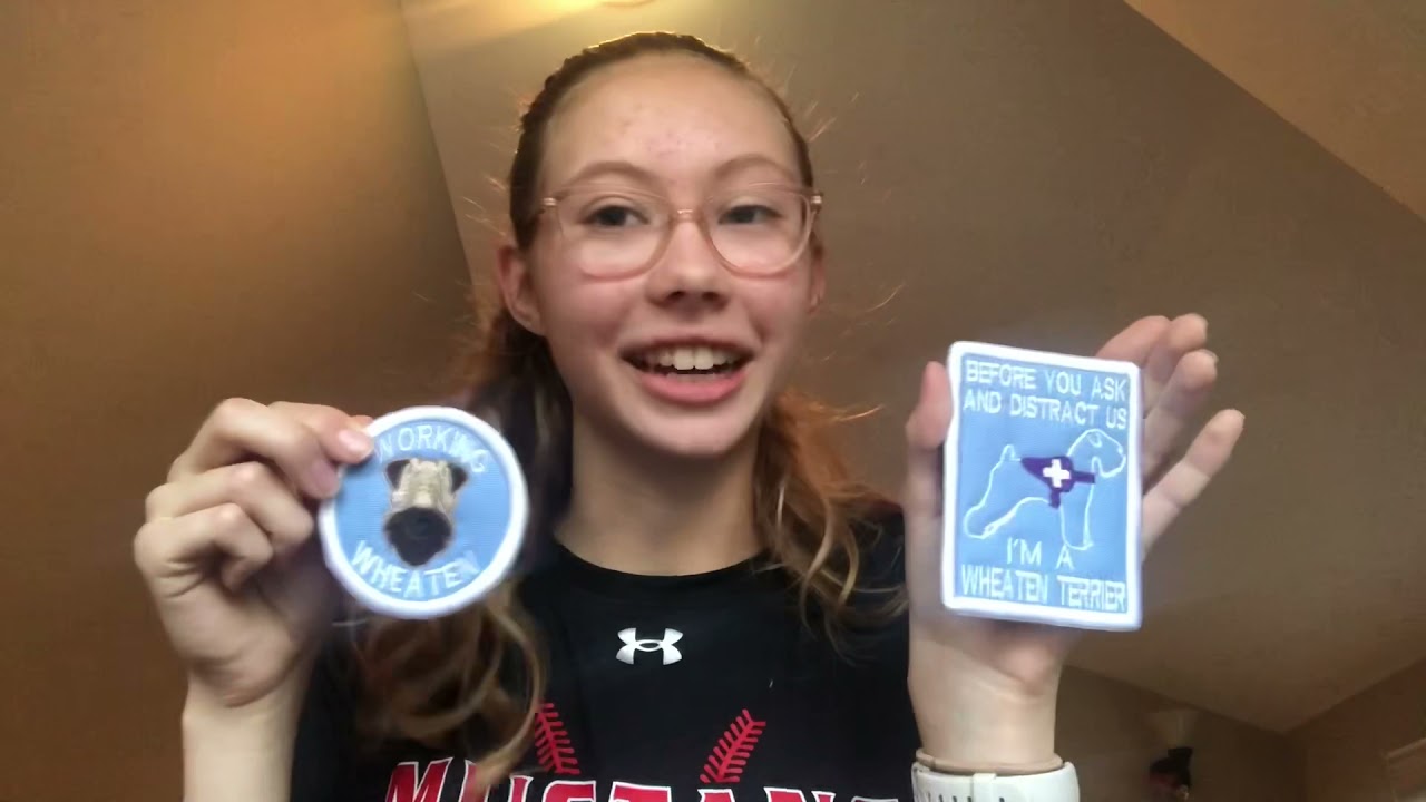 Large Service Dog Gear Unboxing!