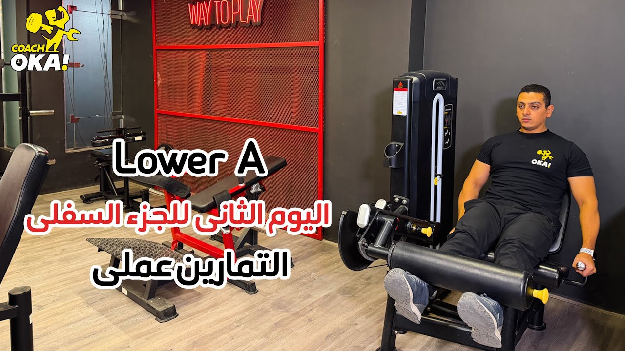 Lower A | اليوم الثانى للجزء السفلى