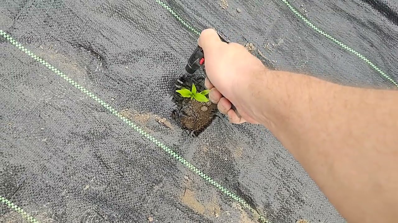 Agro Folija - Kako lako izbu&scaron;iti rupe ?