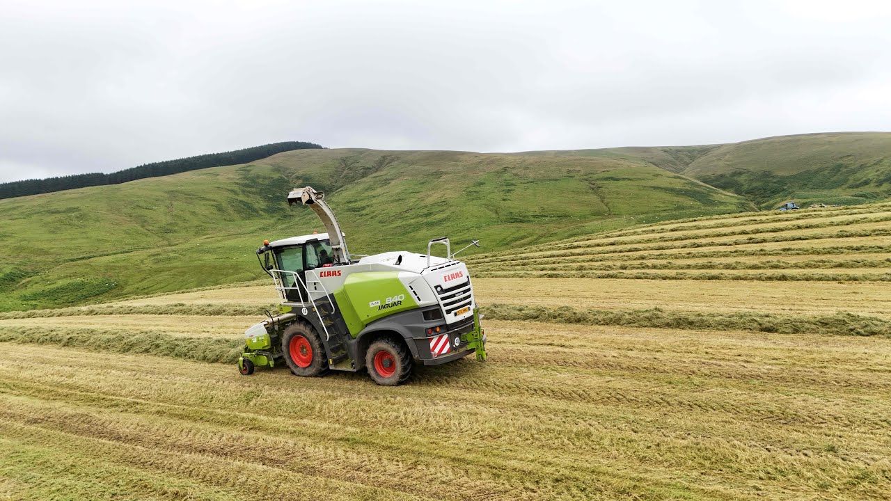 Silage 2024