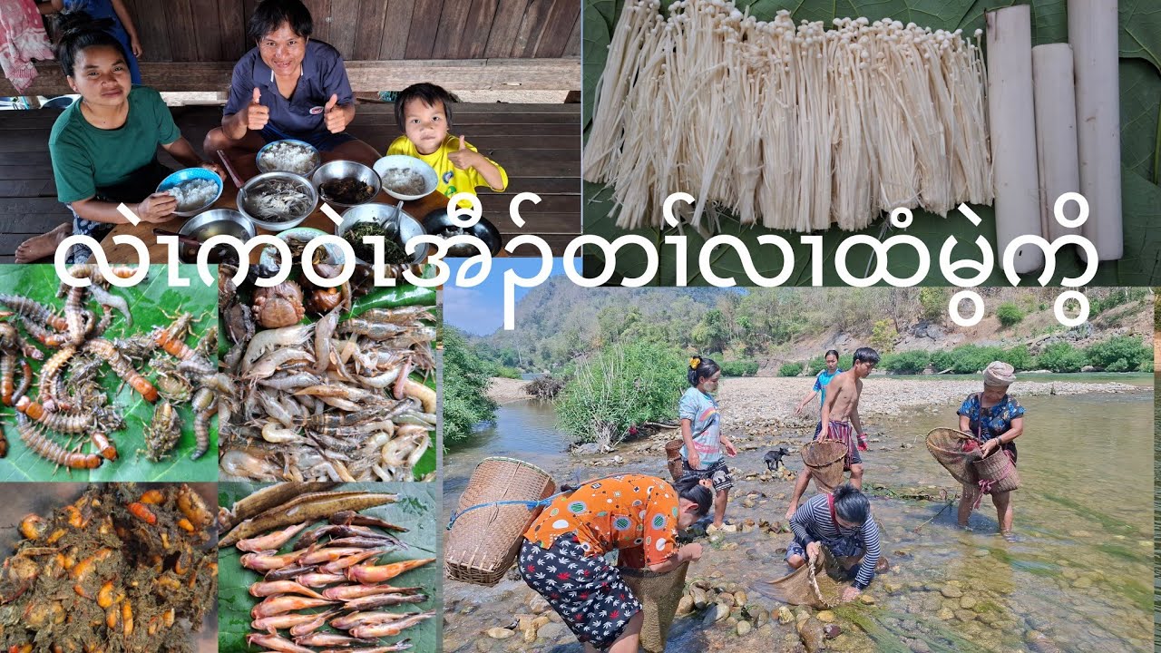 Go fish 🐟 shrimp 🍤 လဲဃုအီၣ်ညၣ်ကဒီၣ်