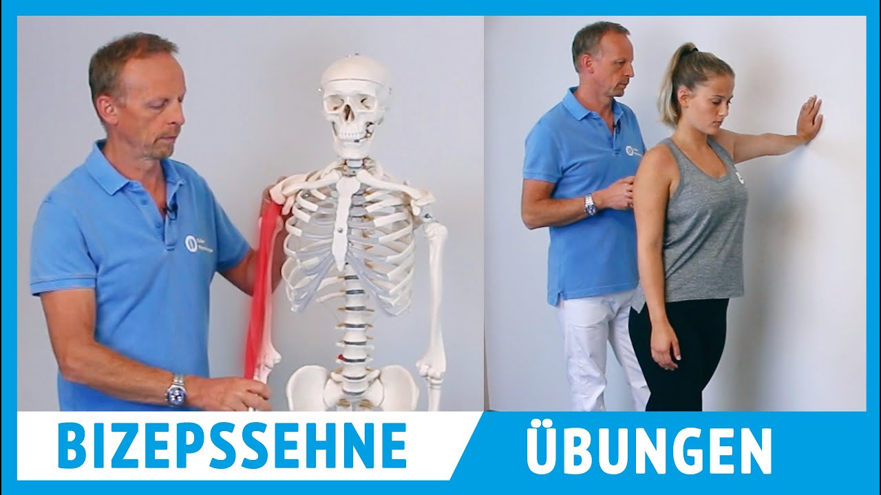 Bizepssehnenentzündung: 3 sehr effektive Übungen zur Selbstbehandlung (für zuhause)