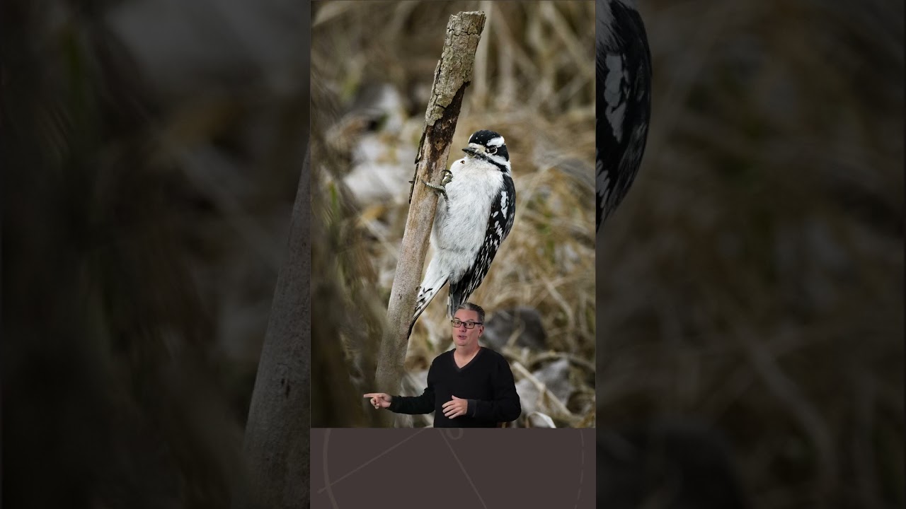 Most people would’ve kept this wildlife photo. I didn’t.