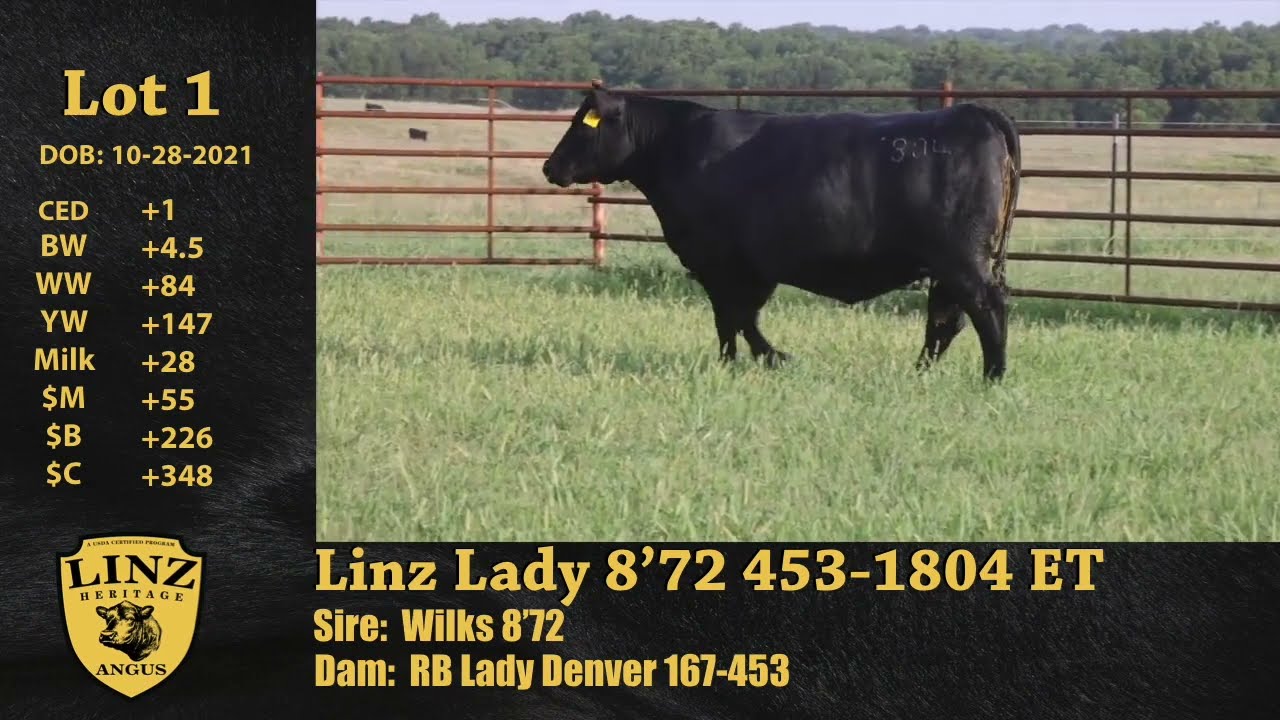 Linz Lot 1 - Linz Lady 8'72 453-1804