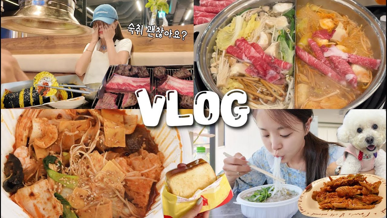 [먹방vlog] 여름인데 입맛은 더 살아나는 이유😋 _량진희닭발+샤브샤브+마라샹궈+본수원갈비+해장쌀국수+선양오크+토스트+육삼이 침치료+똠얌꿍+키토김밥