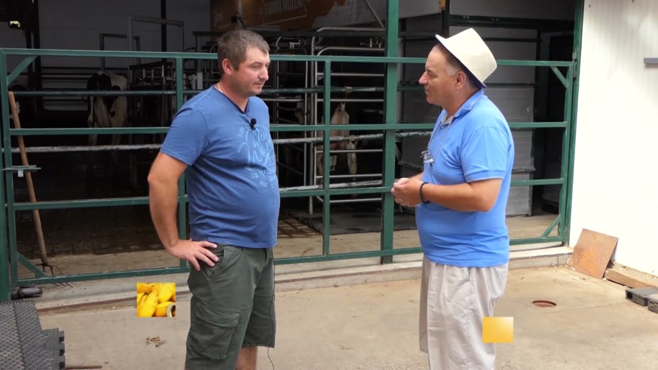 NE KOCKAM SE U KOCKARNICI NEGO KOCKAM SE U STALI DAVID MUZLAI