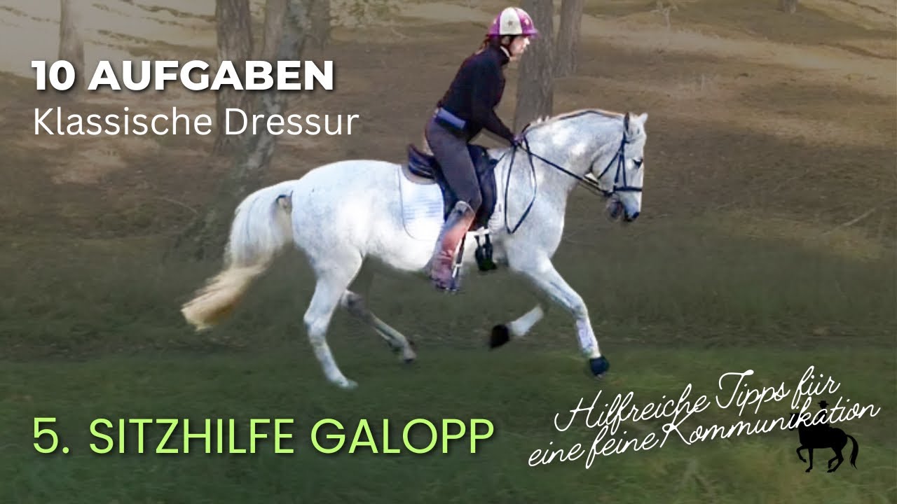 Pferde gesund reiten 🐴 5. Sitzhilfe Galopp Hilfreiche Tipps  #dressurreiten #reiten #galopp