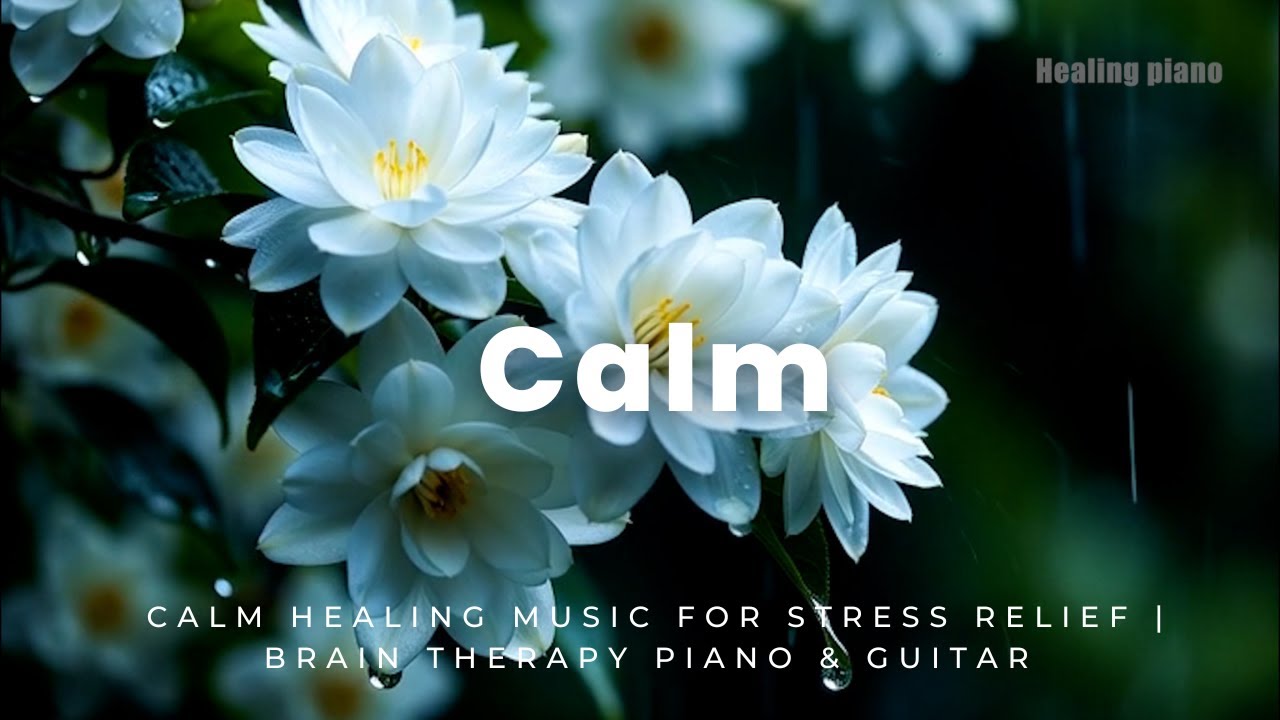 Calm Healing Music for Stress Relief | Brain Therapy Piano & Guitar ☘️