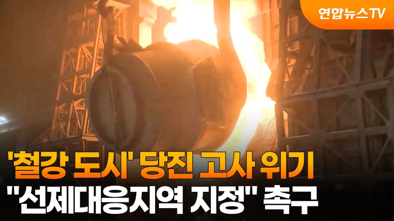 '철강 도시' 당진 고사 위기…