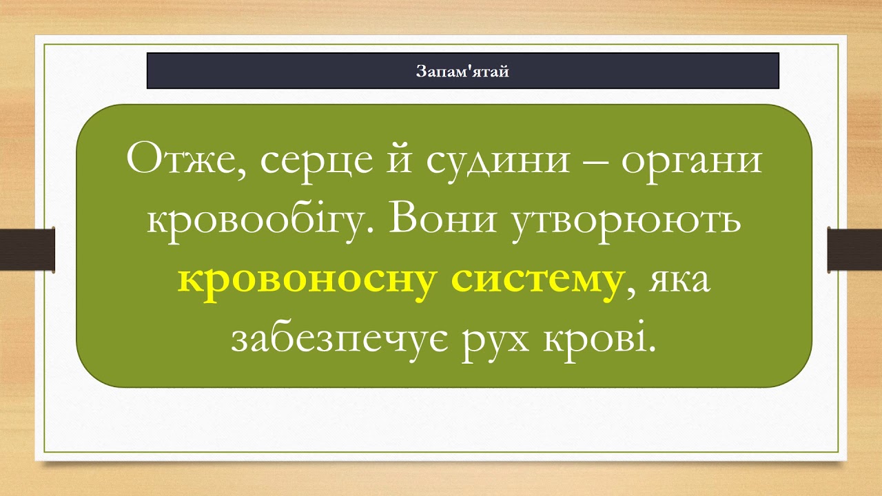 Яке значення має кровоносна система. Вимірювання частоти свого пульсу.3 клас