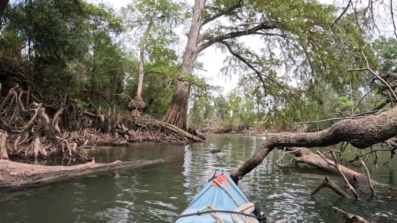 Chipola River GoPro Raw