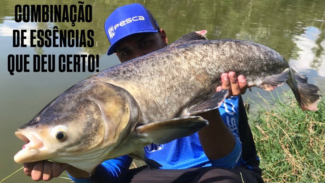 TAMUATOA- PESCARIA NO BARRANCÃO NUNCA FALHA!