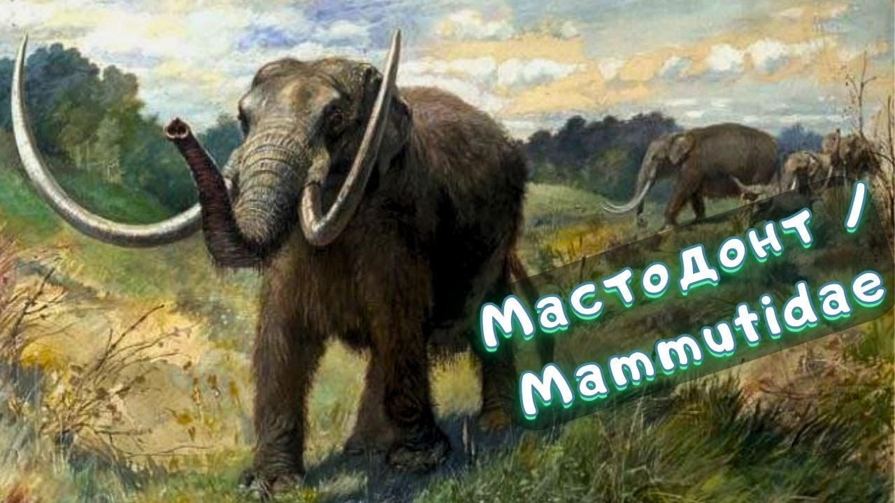 Мастодонт | Древние хоботные | Вымершие животные