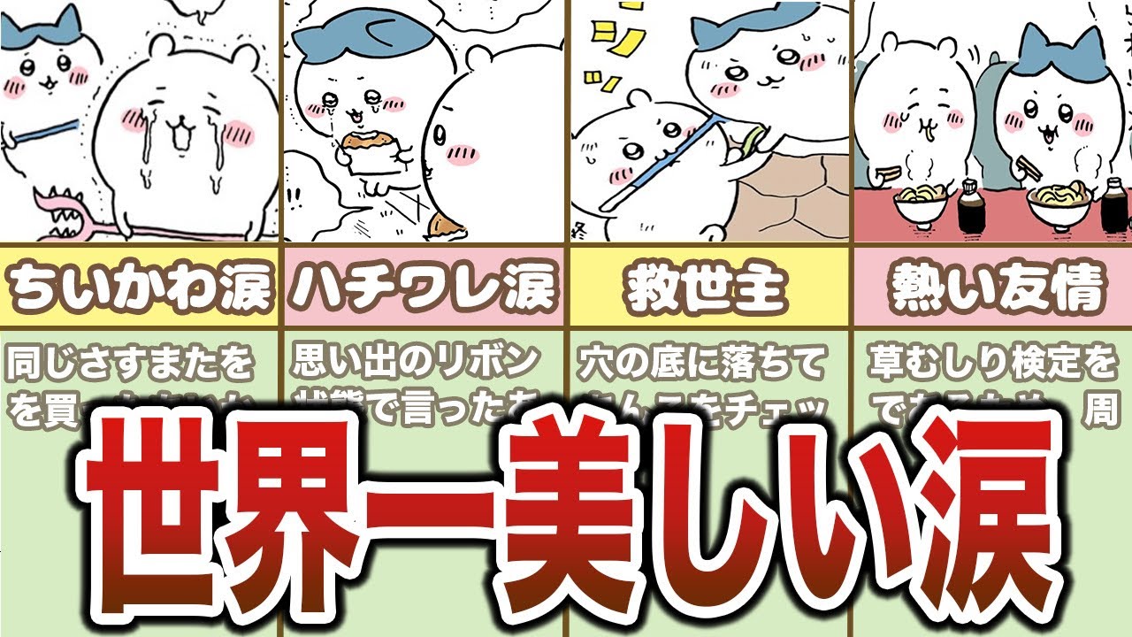 ちいかわとハチワレ、ふたりの友情エピソードまとめ【ゆっくり解説】